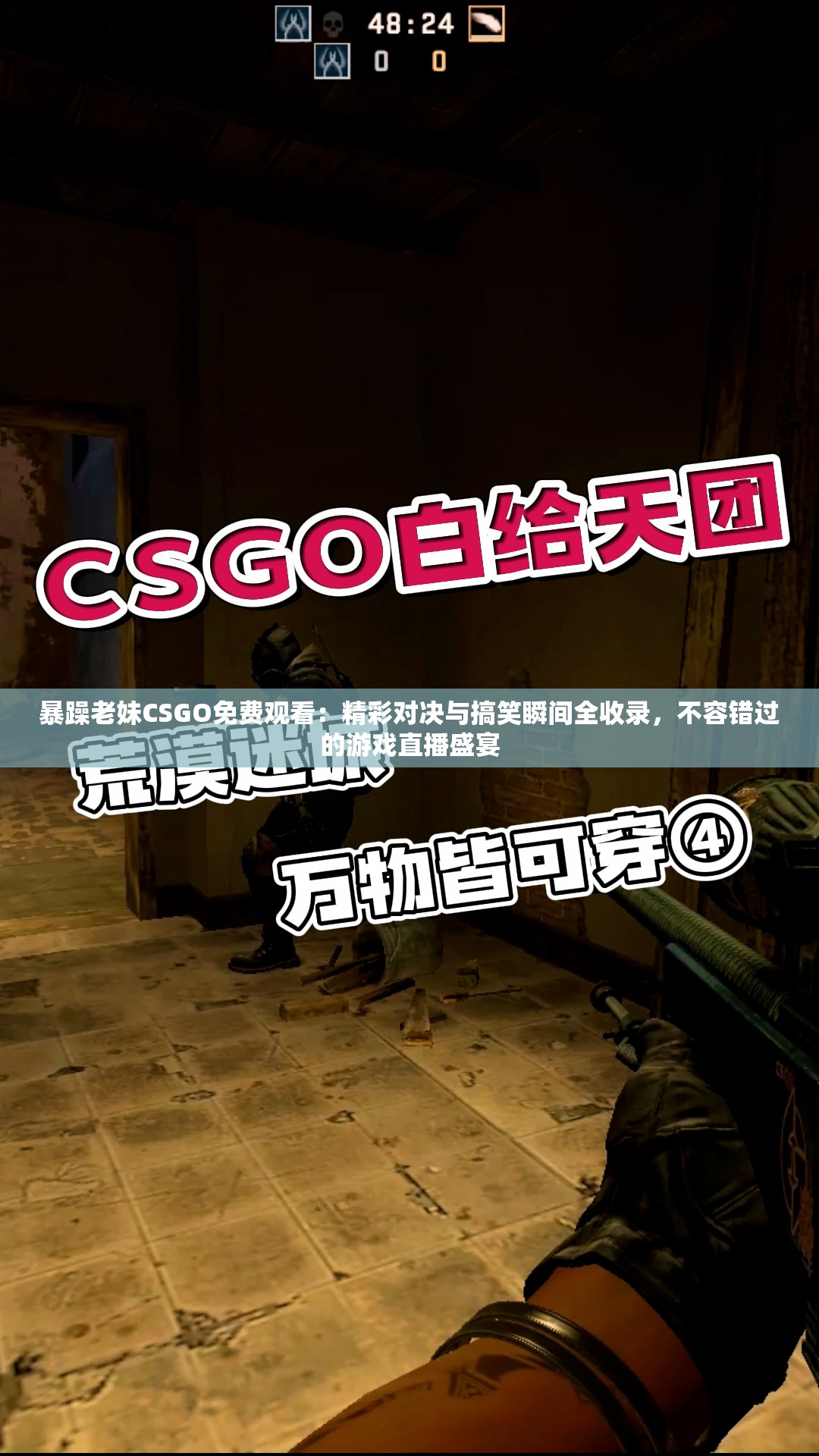 暴躁老妹CSGO免费观看：精彩对决与搞笑瞬间全收录，不容错过的游戏直播盛宴