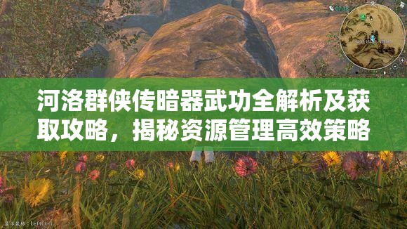 河洛群侠传暗器武功全解析及获取攻略，揭秘资源管理高效策略与技巧