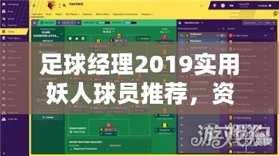 足球经理2019实用妖人球员推荐，资源管理视角下的重要性及选拔策略