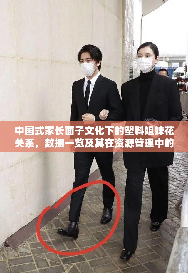 中国式家长面子文化下的塑料姐妹花关系，数据一览及其在资源管理中的重要性及高效策略