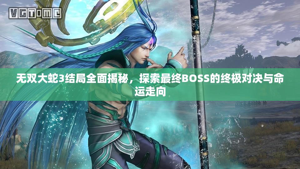 无双大蛇3结局全面揭秘，探索最终BOSS的终极对决与命运走向