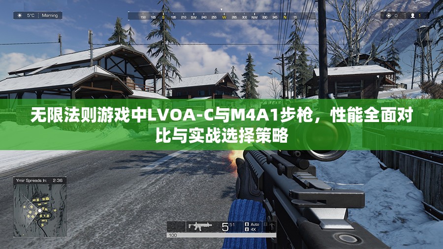 无限法则游戏中LVOA-C与M4A1步枪，性能全面对比与实战选择策略