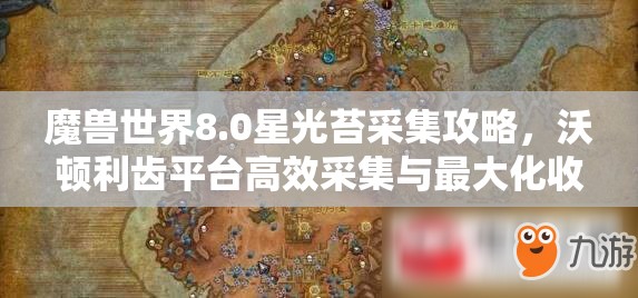 魔兽世界8.0星光苔采集攻略，沃顿利齿平台高效采集与最大化收益技巧