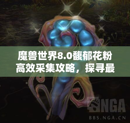 魔兽世界8.0馥郁花粉高效采集攻略，探寻最佳采集路线与地点详解