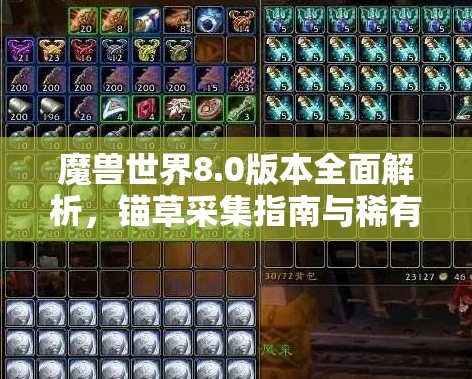 魔兽世界8.0版本全面解析，锚草采集指南与稀有草药丰饶之地探寻