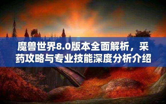 魔兽世界8.0版本全面解析，采药攻略与专业技能深度分析介绍