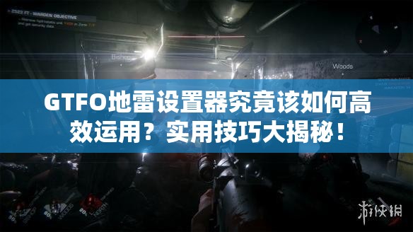 GTFO地雷设置器究竟该如何高效运用？实用技巧大揭秘！