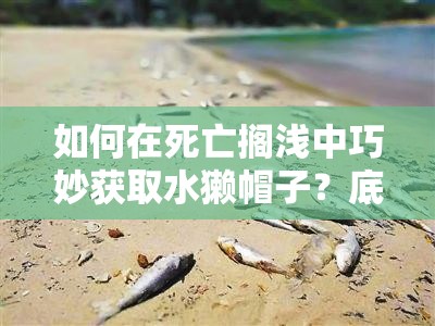 如何在死亡搁浅中巧妙获取水獭帽子？底层逻辑与实战操作全揭秘！