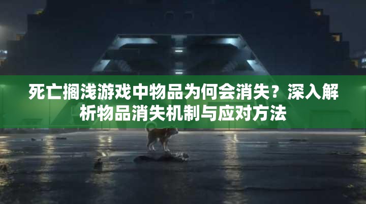 死亡搁浅游戏中物品为何会消失？深入解析物品消失机制与应对方法