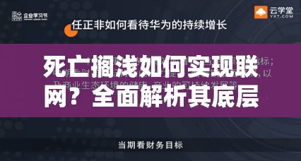 死亡搁浅如何实现联网？全面解析其底层逻辑与操作映射揭秘