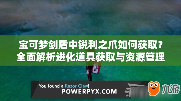 宝可梦剑盾中锐利之爪如何获取？全面解析进化道具获取与资源管理技巧