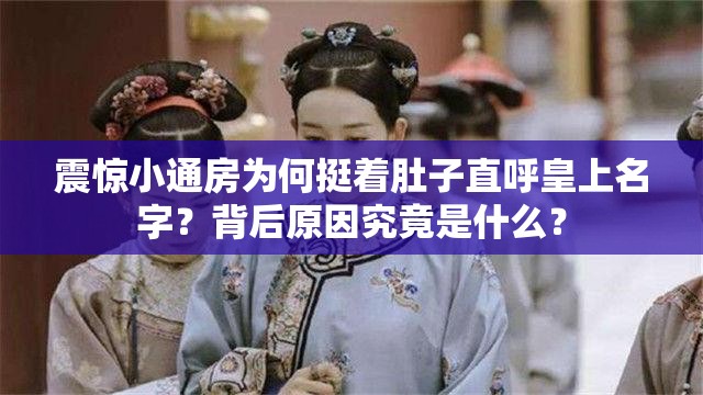 震惊小通房为何挺着肚子直呼皇上名字？背后原因究竟是什么？