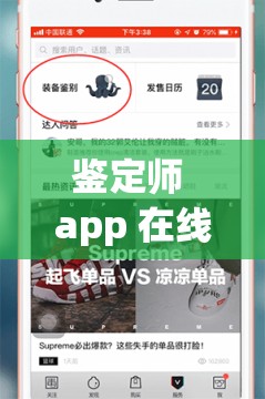 鉴定师 app 在线看免费视频靠谱吗？如何找到优质的鉴定师 app 免费视频资源？