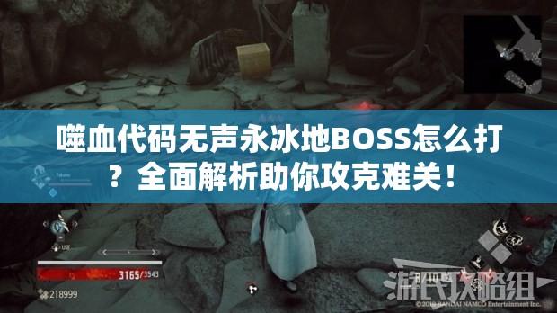 噬血代码无声永冰地BOSS怎么打？全面解析助你攻克难关！