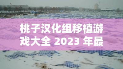 桃子汉化组移植游戏大全 2023 年最新版：海量精品游戏等你来玩