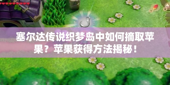 塞尔达传说织梦岛中如何摘取苹果？苹果获得方法揭秘！