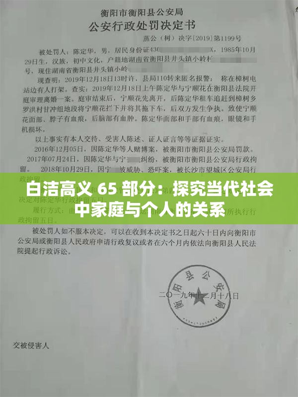 白洁高义 65 部分：探究当代社会中家庭与个人的关系