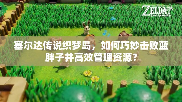 塞尔达传说织梦岛，如何巧妙击败蓝胖子并高效管理资源？