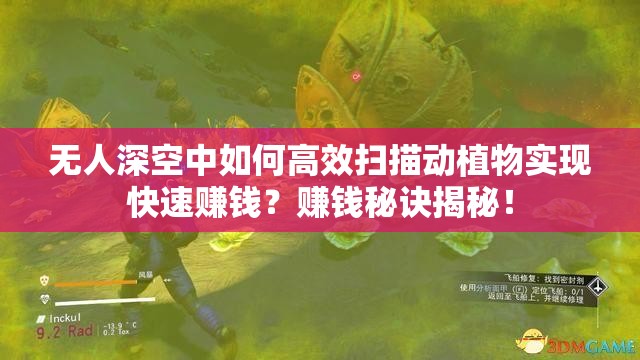 无人深空中如何高效扫描动植物实现快速赚钱？赚钱秘诀揭秘！