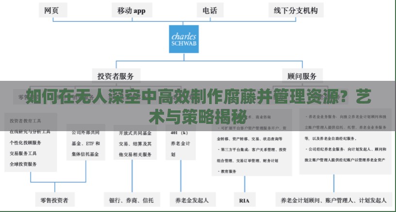 如何在无人深空中高效制作腐藤并管理资源？艺术与策略揭秘