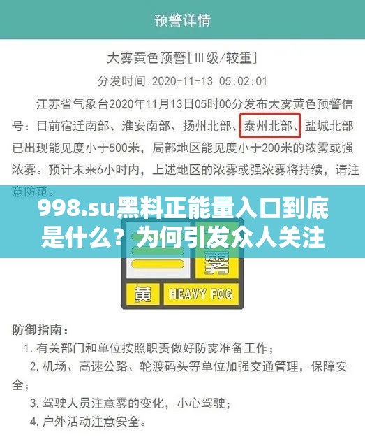 998.su黑料正能量入口到底是什么？为何引发众人关注与热议？