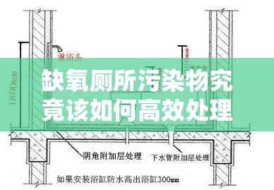 缺氧厕所污染物究竟该如何高效处理？详细方法大揭秘！