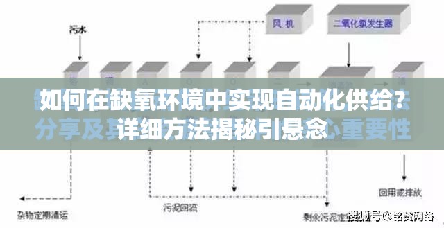 如何在缺氧环境中实现自动化供给？详细方法揭秘引悬念