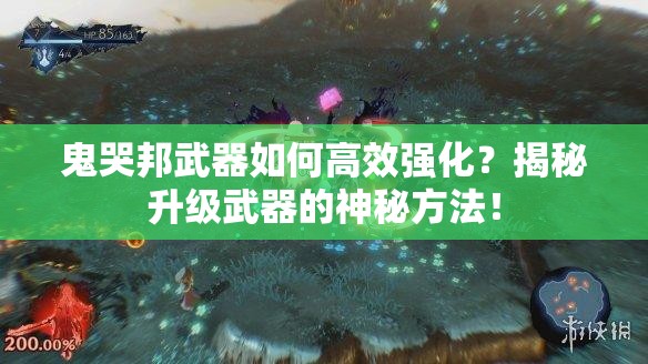 鬼哭邦武器如何高效强化？揭秘升级武器的神秘方法！