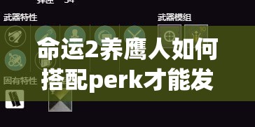 命运2养鹰人如何搭配perk才能发挥最强威力？苍鹰之主顶级perk揭秘