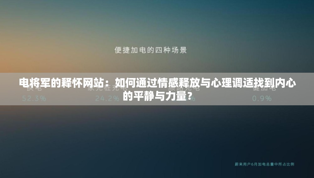 电将军的释怀网站：如何通过情感释放与心理调适找到内心的平静与力量？