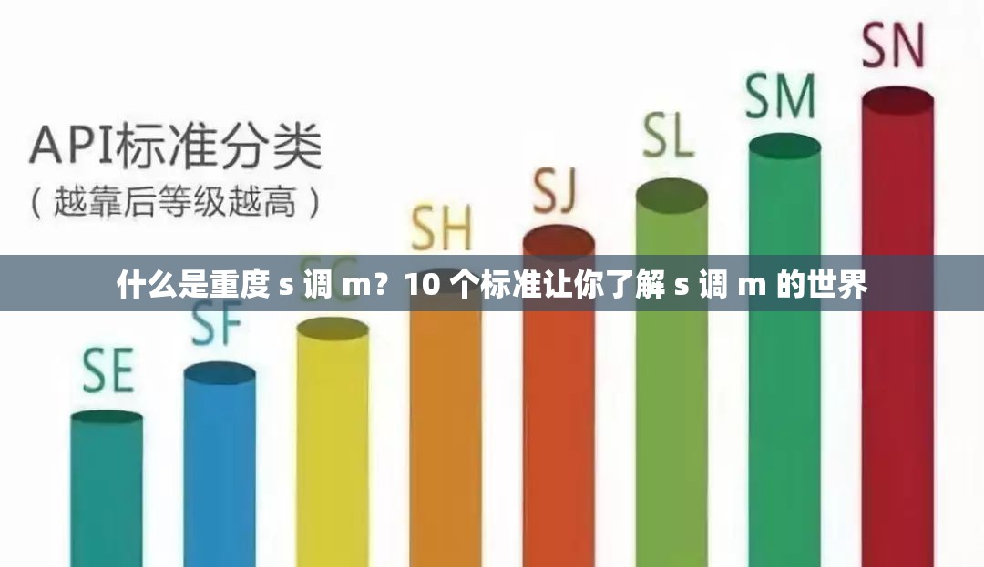 什么是重度 s 调 m？10 个标准让你了解 s 调 m 的世界