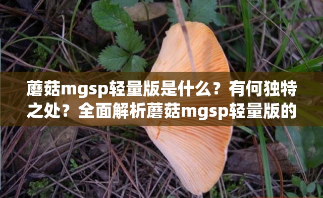 蘑菇mgsp轻量版是什么？有何独特之处？全面解析蘑菇mgsp轻量版的特点与优势