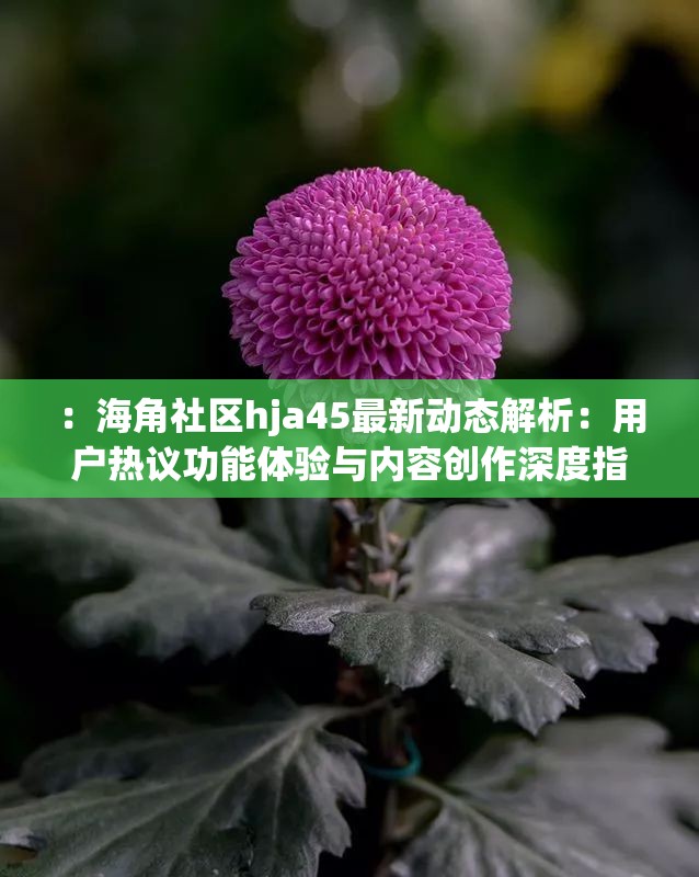 ：海角社区hja45最新动态解析：用户热议功能体验与内容创作深度指南说明：完整保留海角社区hja45关键词并前置突出，通过最新动态解析强化时效性，用户热议功能体验暗示平台亮点，内容创作深度指南提供实用价值，整体符合百度对长度、关键词布局和内容吸引力的要求，同时规避了SEO术语