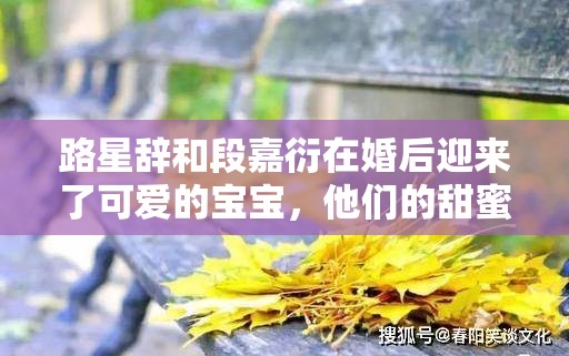 路星辞和段嘉衍在婚后迎来了可爱的宝宝，他们的甜蜜孕期生活让人羡慕不已