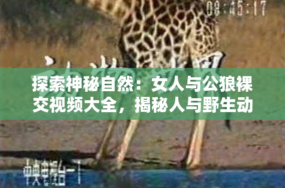 探索神秘自然：女人与公狼裸交视频大全，揭秘人与野生动物的罕见互动瞬间