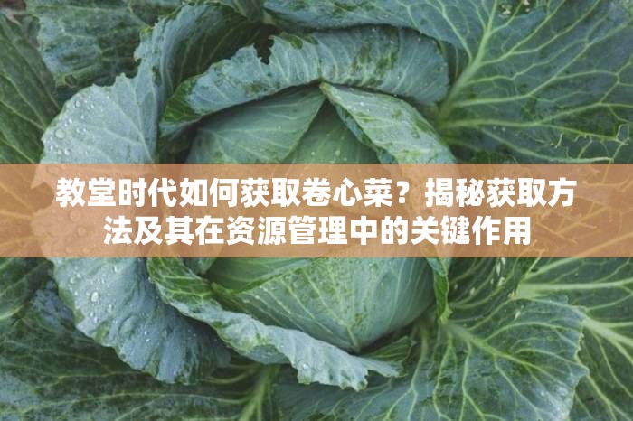 教堂时代如何获取卷心菜？揭秘获取方法及其在资源管理中的关键作用