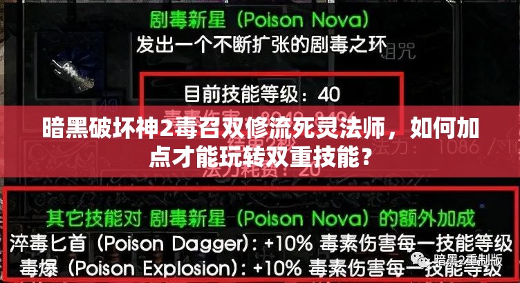 暗黑破坏神2毒召双修流死灵法师，如何加点才能玩转双重技能？