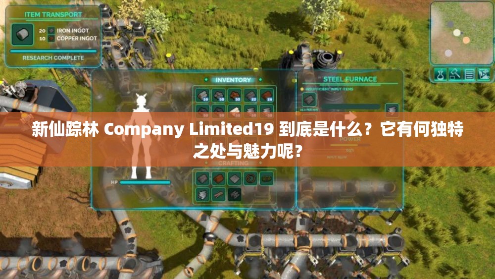 新仙踪林 Company Limited19 到底是什么？它有何独特之处与魅力呢？