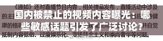 国内被禁止的视频内容曝光：哪些敏感话题引发了广泛讨论？