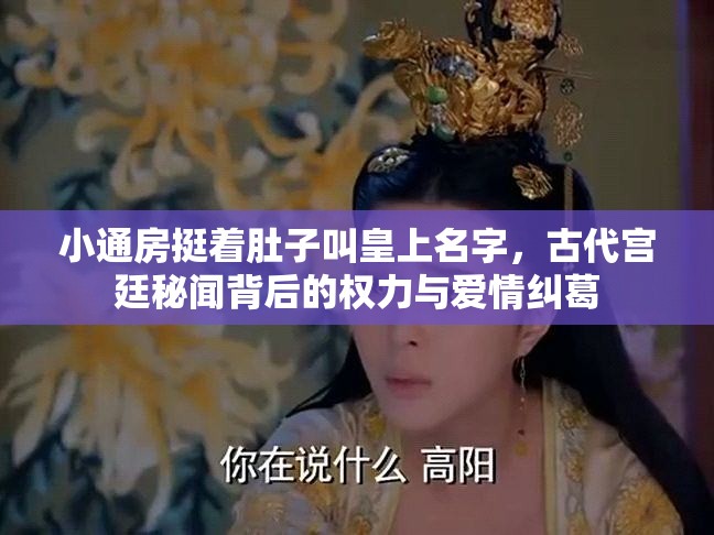 小通房挺着肚子叫皇上名字，古代宫廷秘闻背后的权力与爱情纠葛