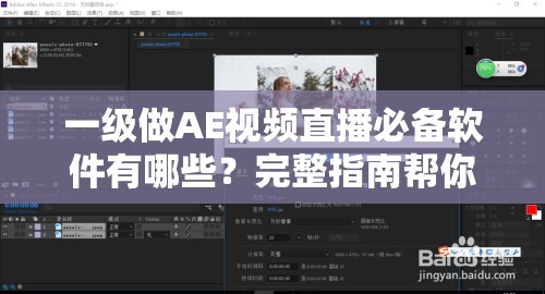 一级做AE视频直播必备软件有哪些？完整指南帮你轻松上手AE直播制作