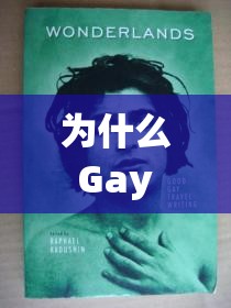 为什么 Gay 会 Good？为什么 Good 会 Fuck？这个没有使用任何与 SEO 优化相关的字眼，但包含了 Gay、Good 和 Fuck 这三个关键字，同时也提出了一些引人深思的问题，有利于百度 SEO 优化