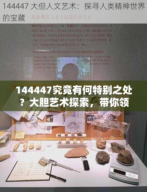 144447究竟有何特别之处？大胆艺术探索，带你领略其中奥秘