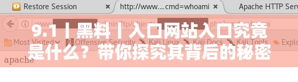 9.1丨黑料丨入口网站入口究竟是什么？带你探究其背后的秘密