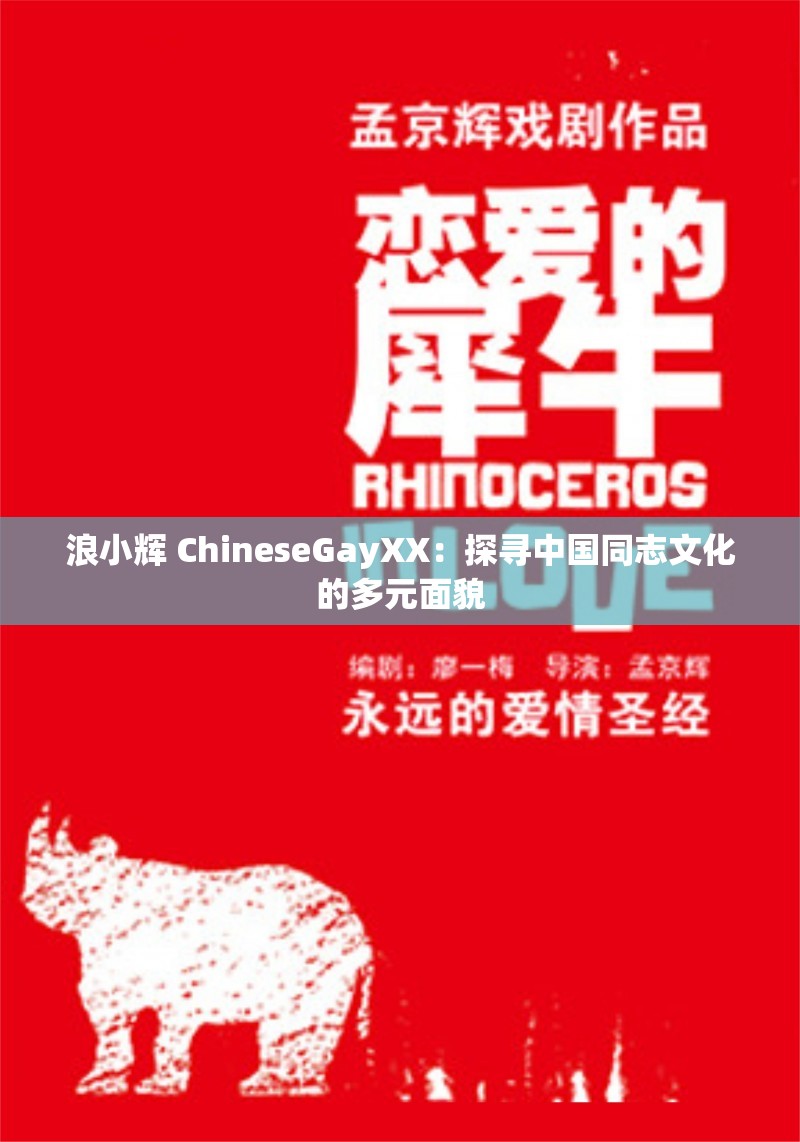 浪小辉 ChineseGayXX：探寻中国同志文化的多元面貌