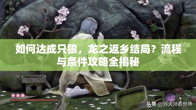 如何达成只狼，龙之返乡结局？流程与条件攻略全揭秘