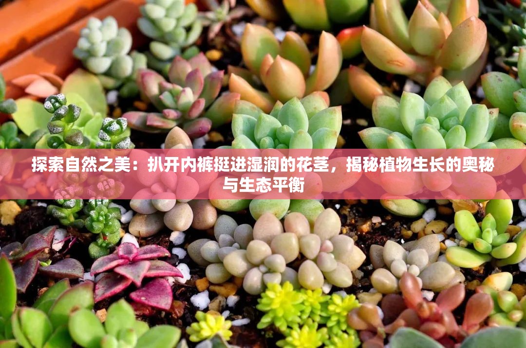 探索自然之美：扒开内裤挺进湿润的花茎，揭秘植物生长的奥秘与生态平衡