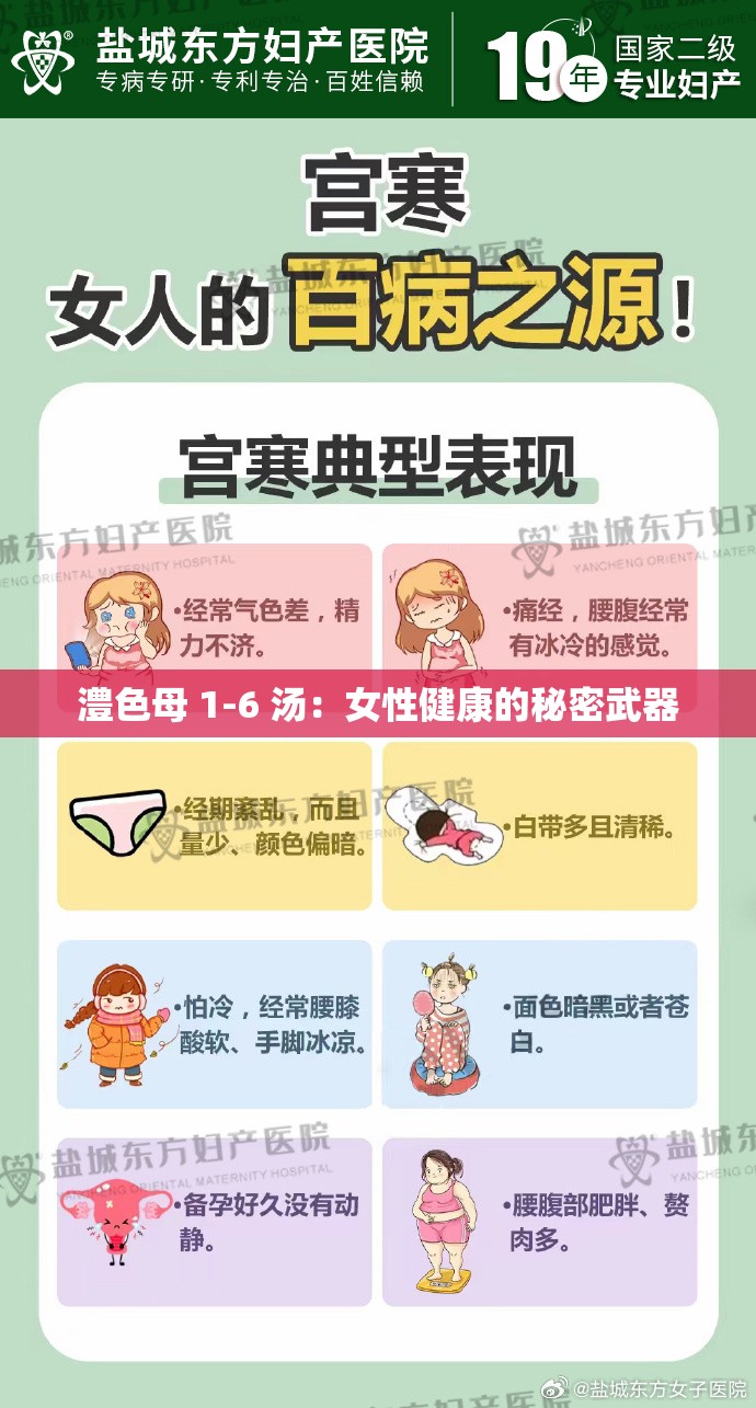 澧色母 1-6 汤：女性健康的秘密武器