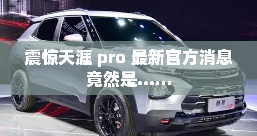 震惊天涯 pro 最新官方消息竟然是……