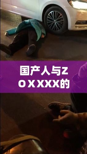 国产人与ZOⅩXXX的另类碰撞：探索未来科技与人性的交融之路